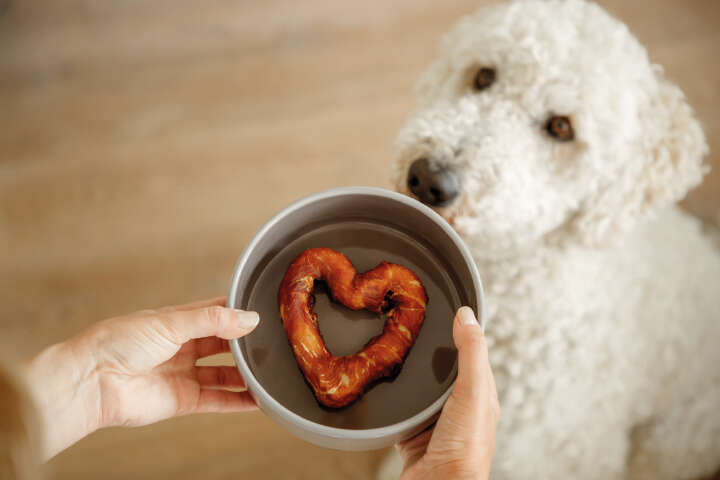 TRIXIE Keramiknapf mit Gummiring